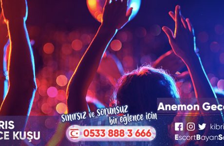 Anemon Gece Kulübü iletişim